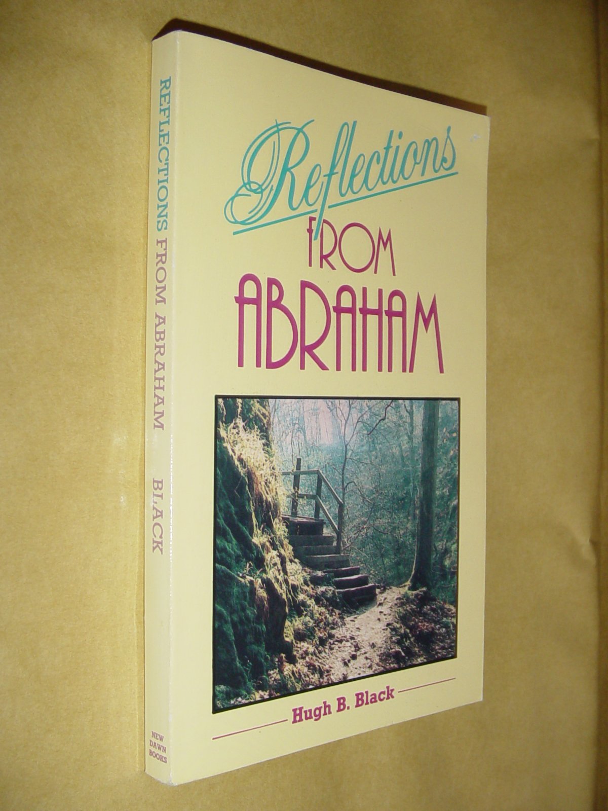 Cover of Reflections From Abraham